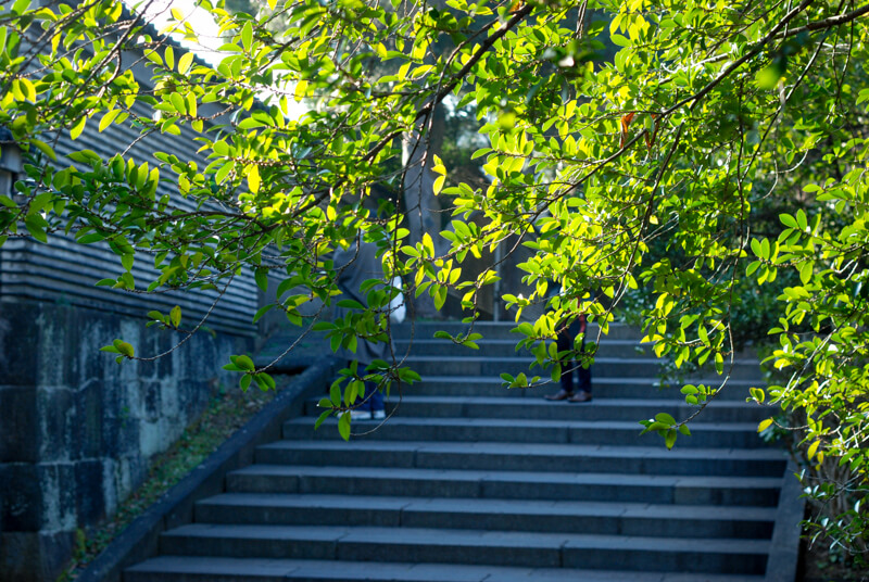 f:id:hachi-log:20200219204053j:plain