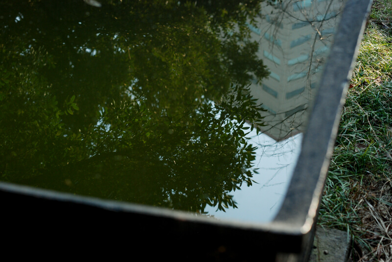 f:id:hachi-log:20200219204241j:plain