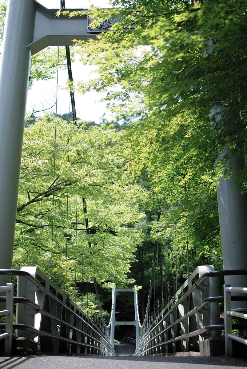 f:id:hachi-log:20200219212614j:plain