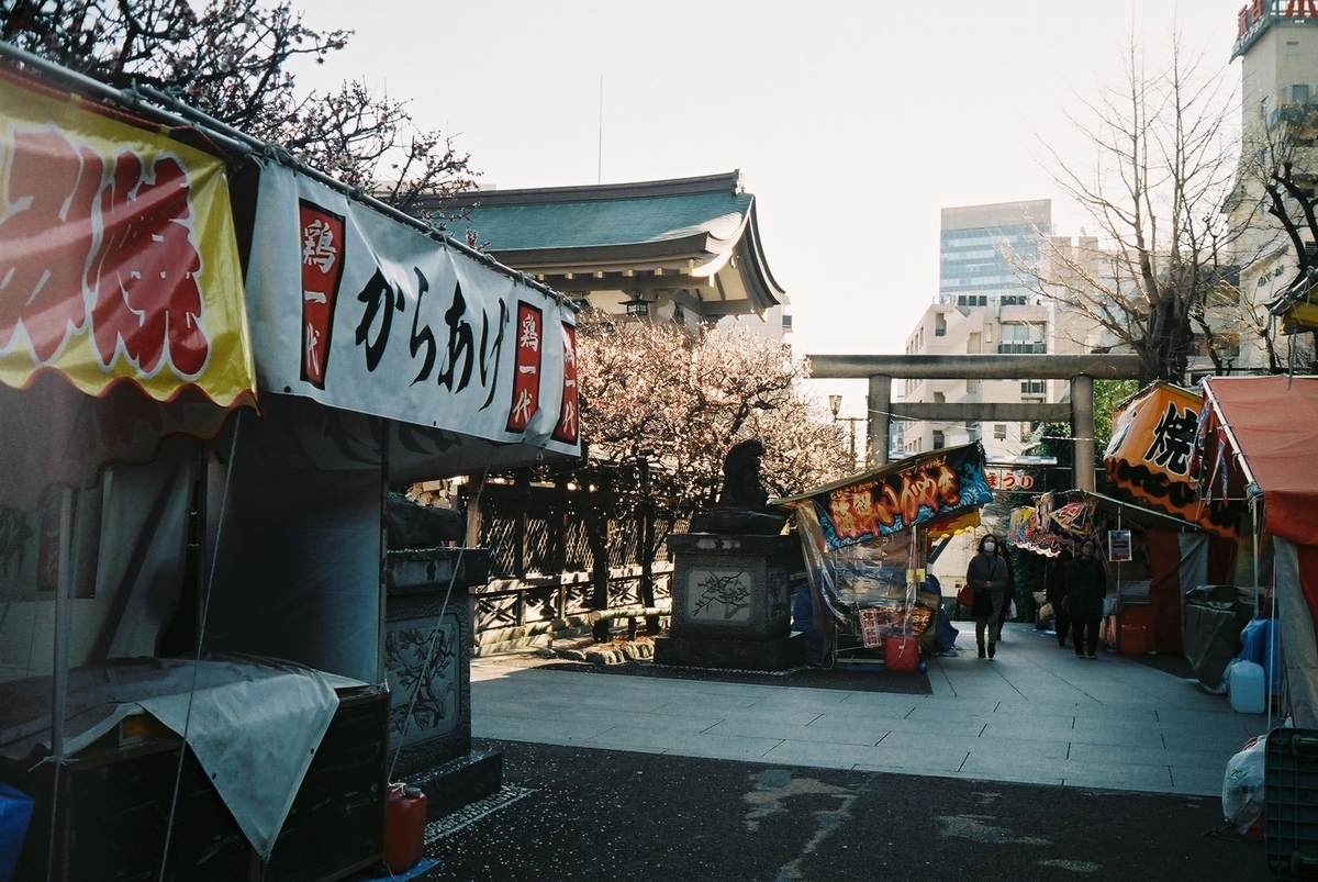 f:id:hachi-log:20200302001145j:plain