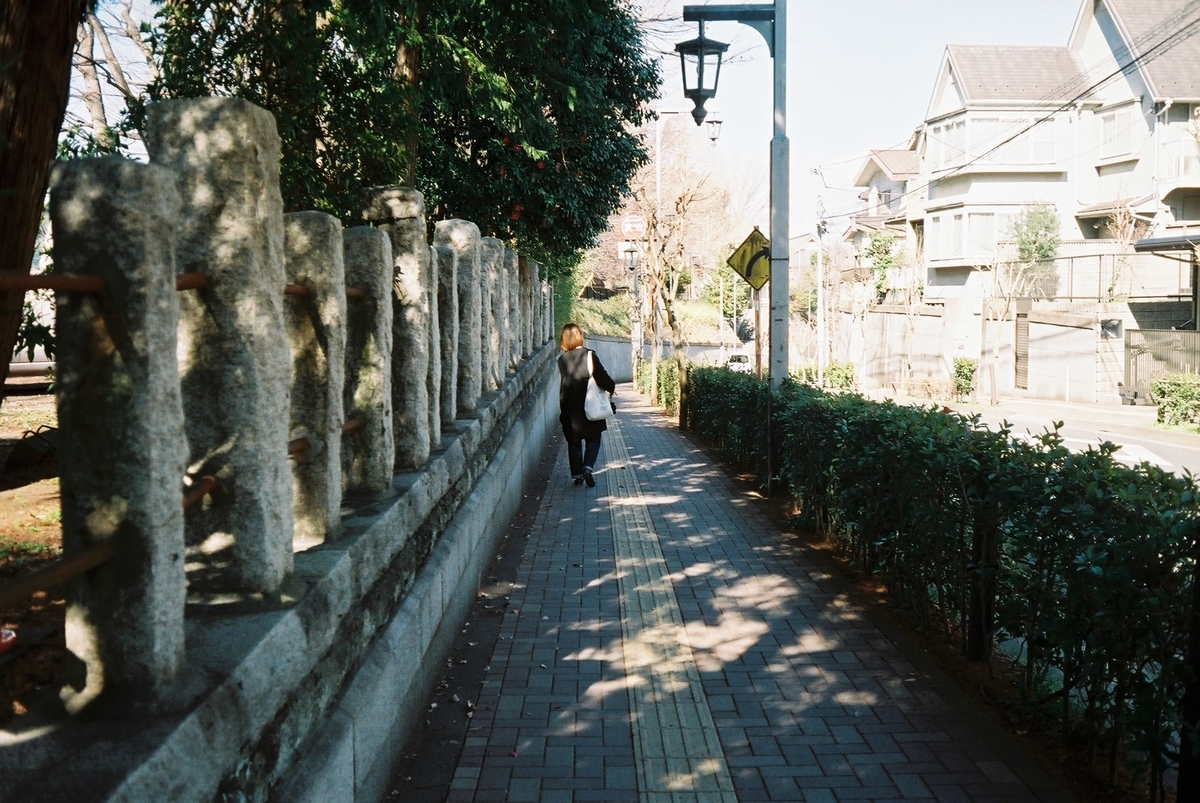 f:id:hachi-log:20200305001435j:plain