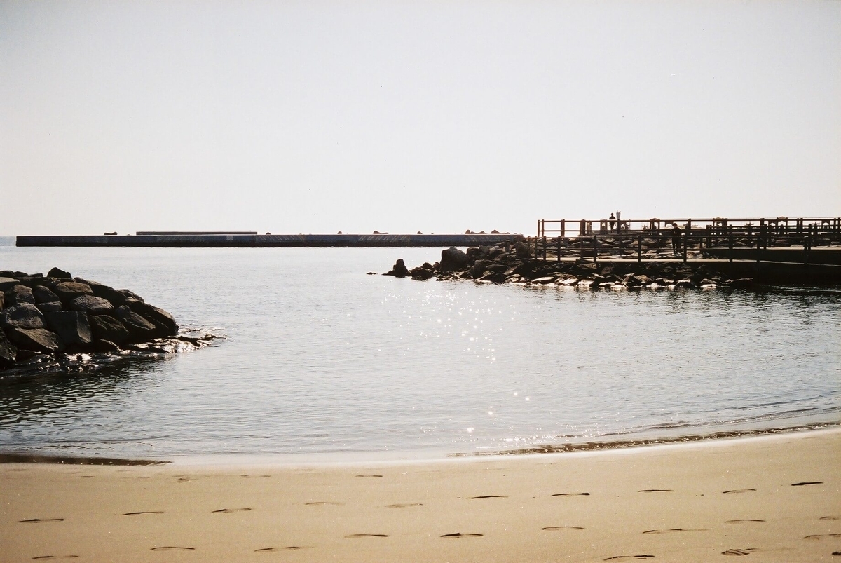 f:id:hachi-log:20200628074223j:plain f:id:hachi-log:20200628074223j:plain