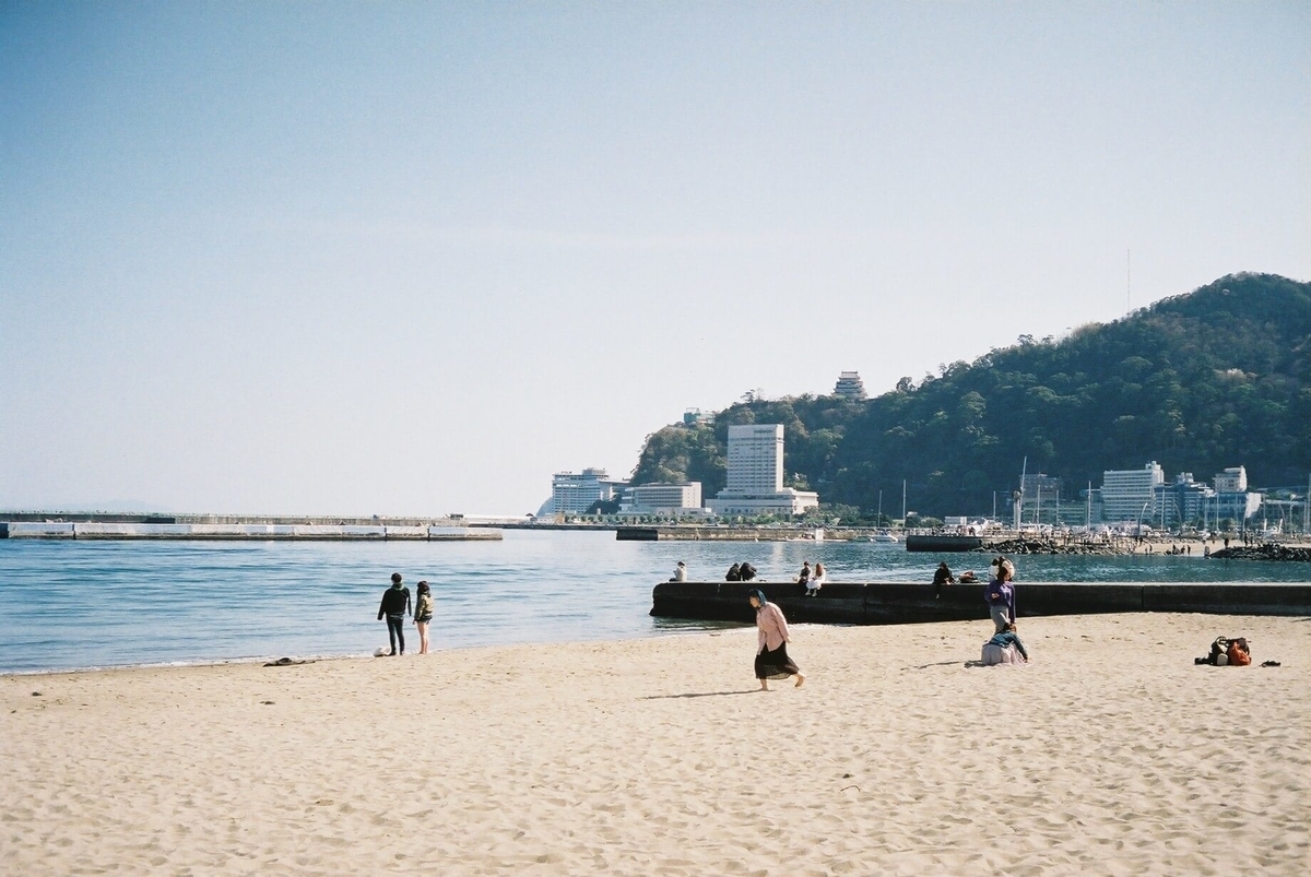 f:id:hachi-log:20200628074239j:plain f:id:hachi-log:20200628074239j:plain