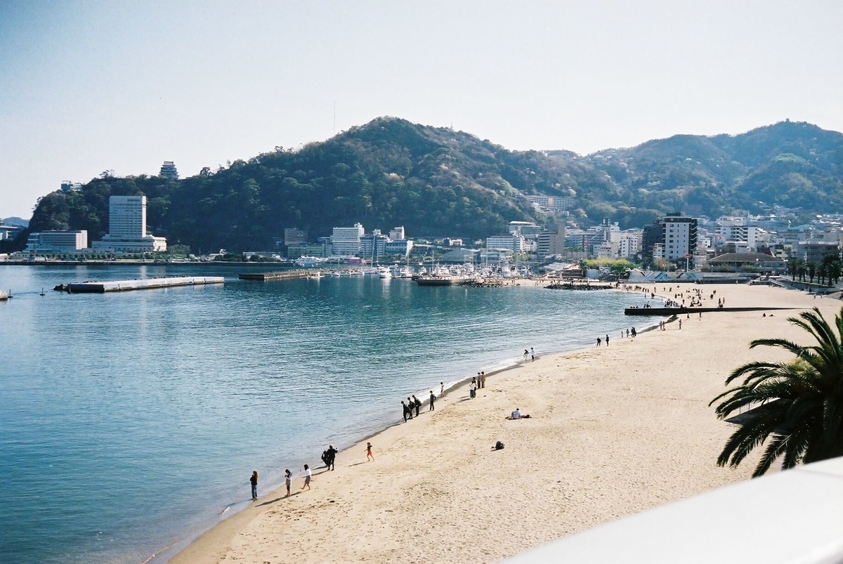 f:id:hachi-log:20200628074244j:plain f:id:hachi-log:20200628074244j:plain