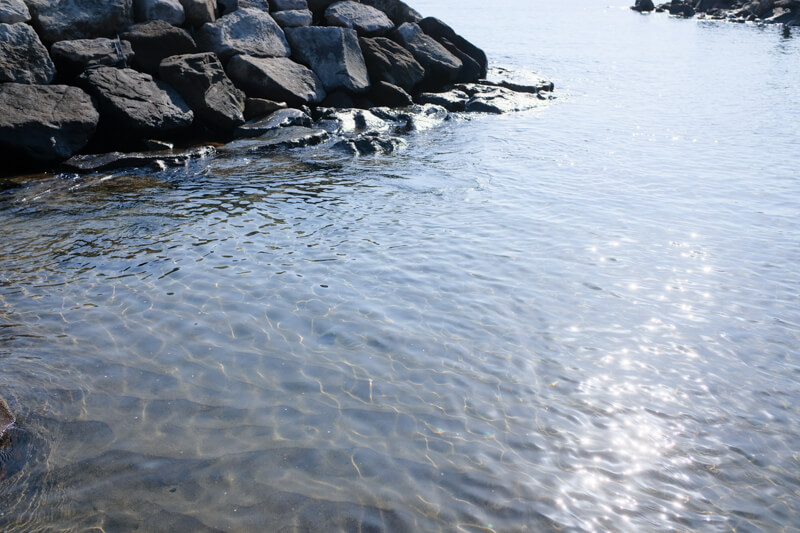 f:id:hachi-log:20200701003346j:plain