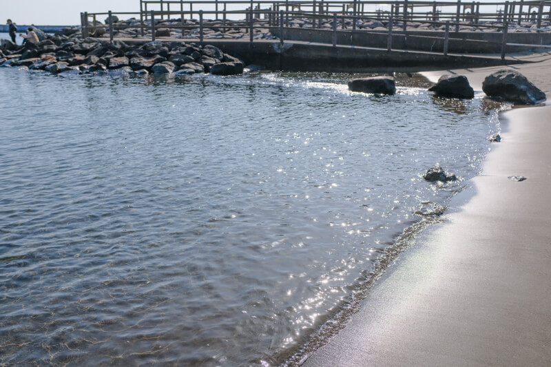 f:id:hachi-log:20200701003400j:plain