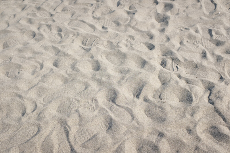 f:id:hachi-log:20200701003403j:plain