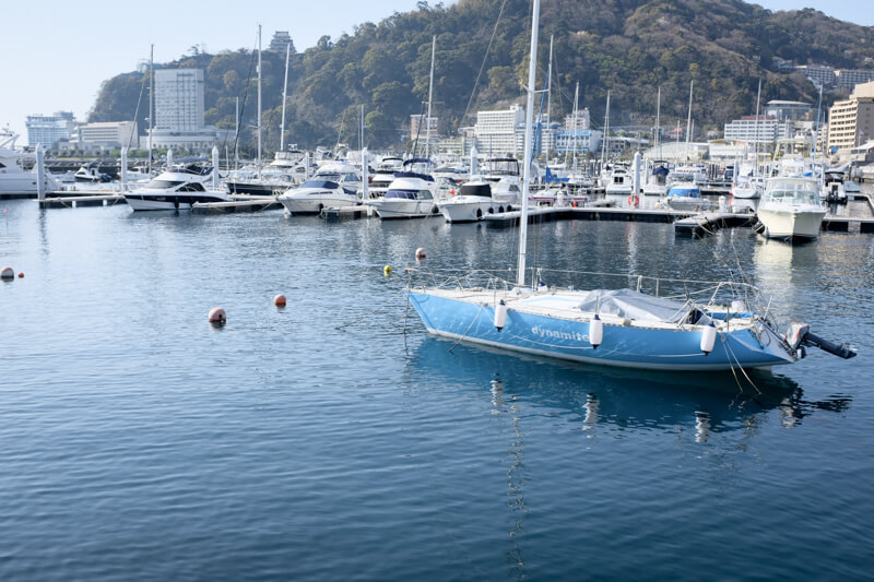 f:id:hachi-log:20200701003416j:plain