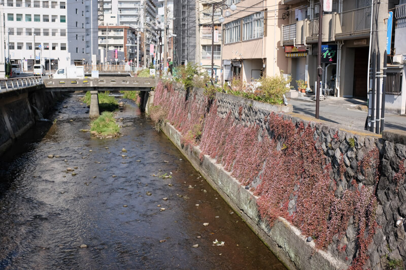 f:id:hachi-log:20200701003438j:plain