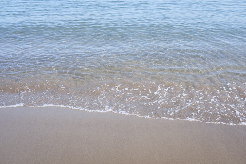 f:id:hachi-log:20200701003559j:plain