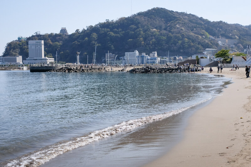 f:id:hachi-log:20200701003602j:plain
