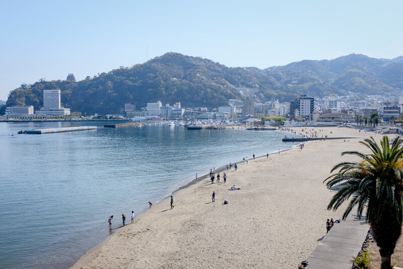 f:id:hachi-log:20200701003614j:plain