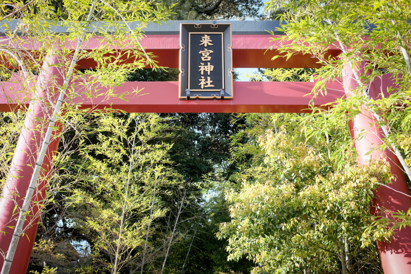f:id:hachi-log:20200701003647j:plain