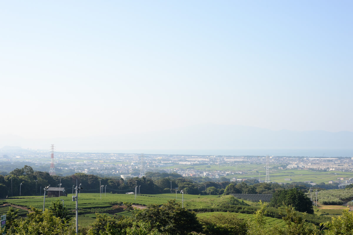 f:id:hachi-log:20200824081332j:plain