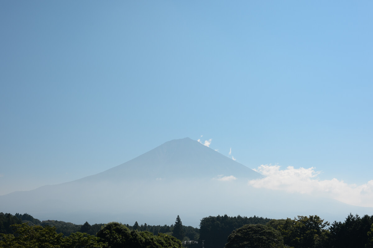 f:id:hachi-log:20200824081342j:plain