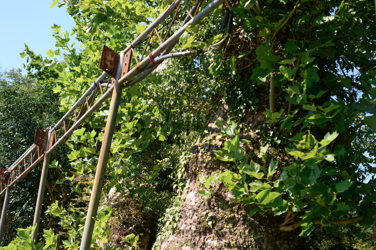 f:id:hachi-log:20200824081349j:plain