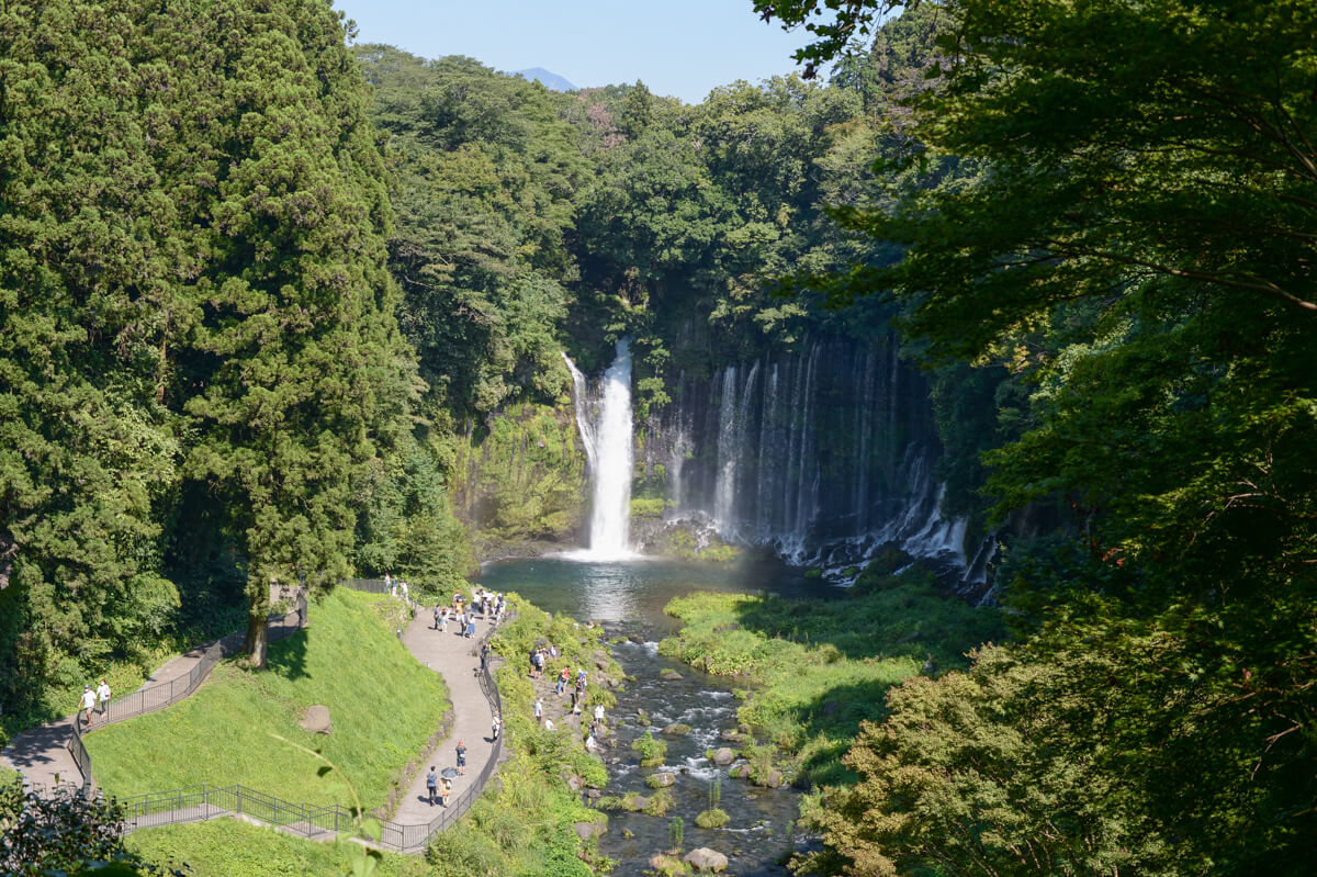 f:id:hachi-log:20200824081357j:plain