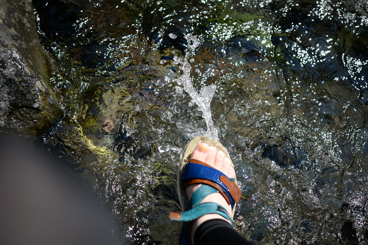 f:id:hachi-log:20200824081412j:plain