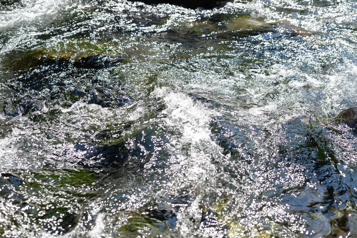 f:id:hachi-log:20200824081557j:plain