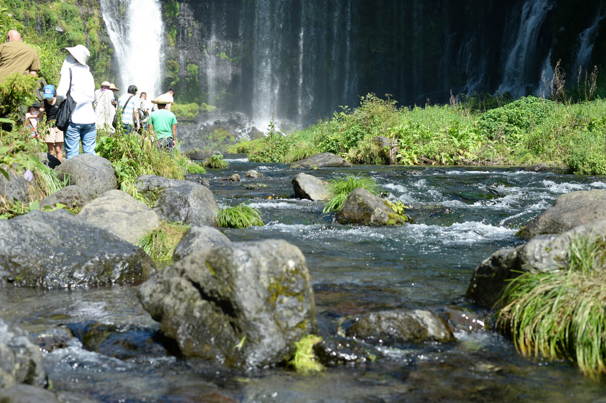 f:id:hachi-log:20200824081601j:plain