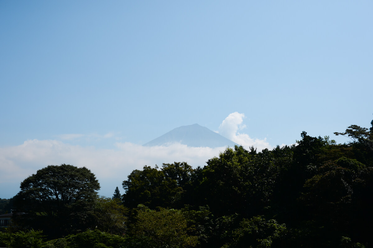 f:id:hachi-log:20200824081604j:plain