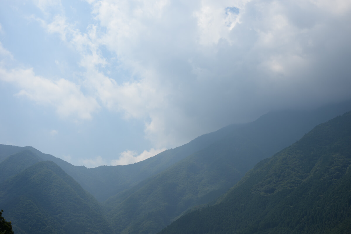 f:id:hachi-log:20200824081620j:plain