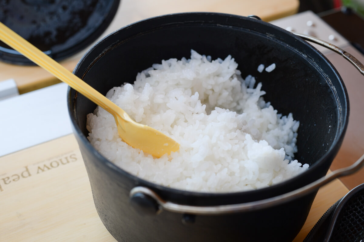 f:id:hachi-log:20200824081648j:plain