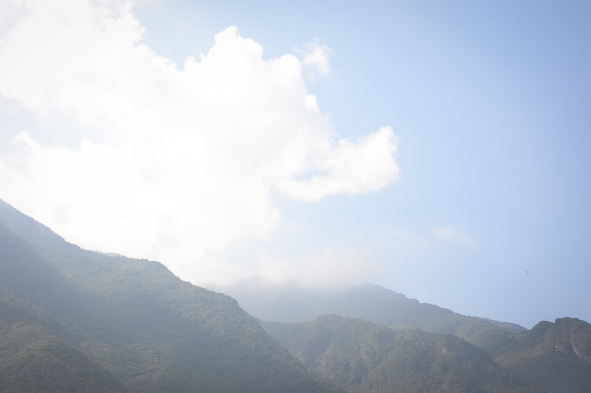 f:id:hachi-log:20200824081655j:plain