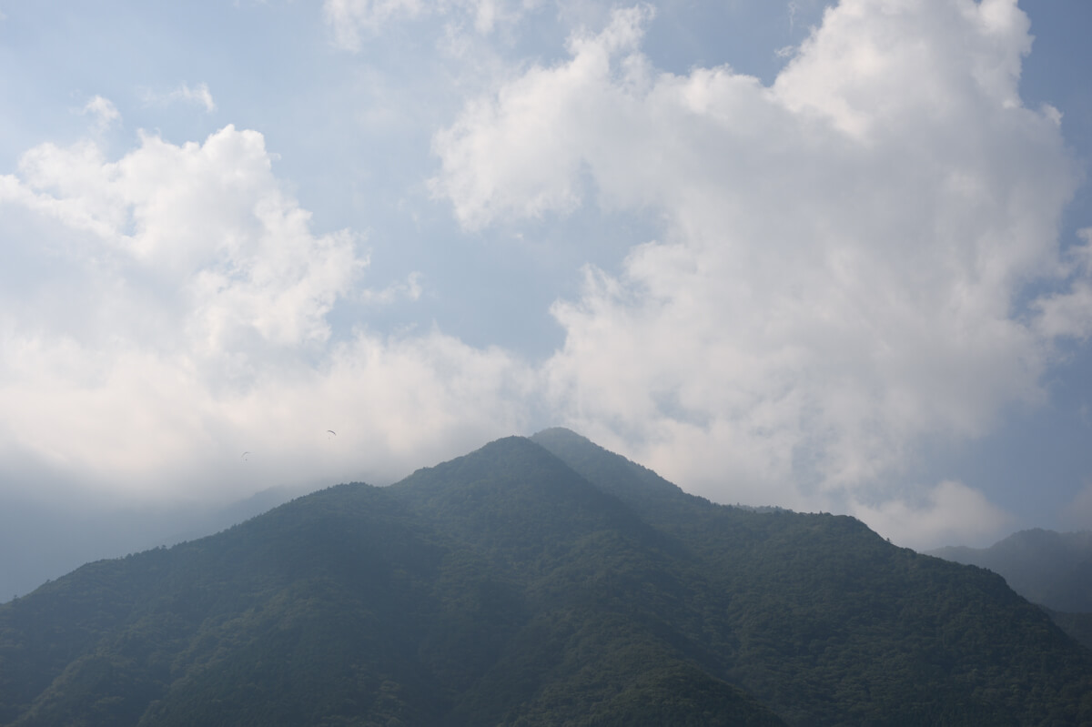 f:id:hachi-log:20200824081658j:plain