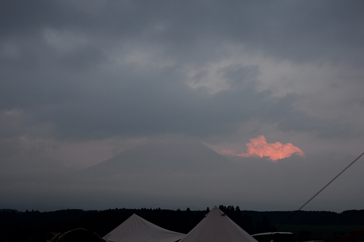 f:id:hachi-log:20200824081718j:plain