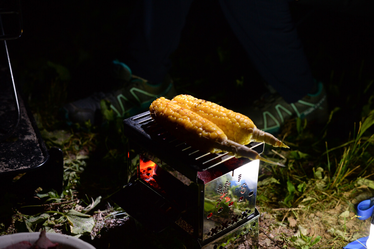 f:id:hachi-log:20200824081746j:plain