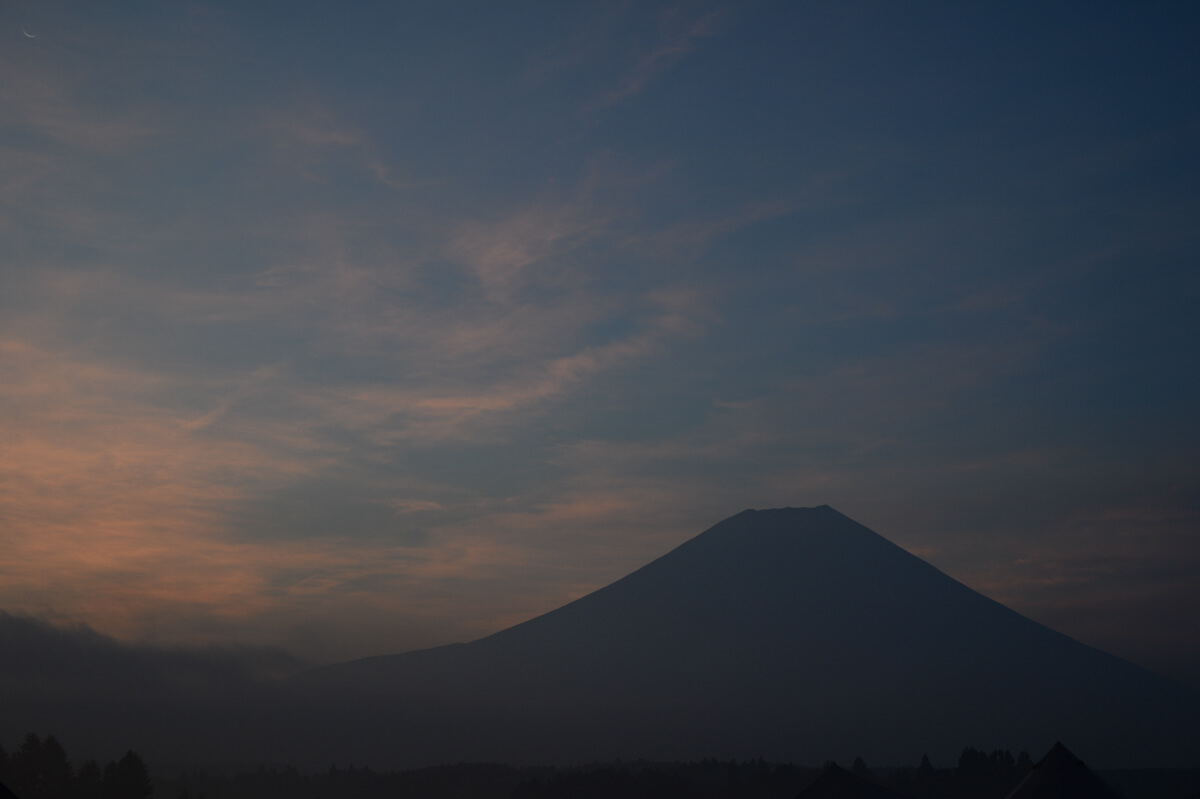 f:id:hachi-log:20200829201236j:plain f:id:hachi-log:20200829201236j:plain