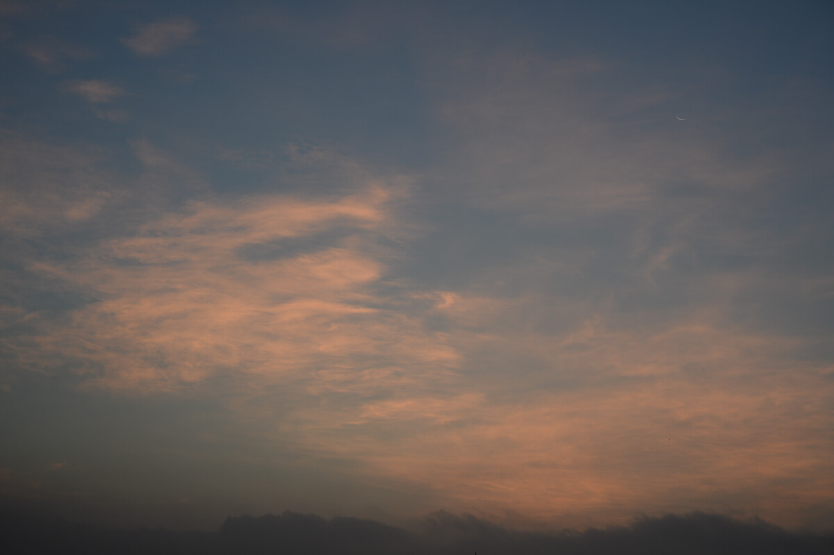 f:id:hachi-log:20200829201240j:plain f:id:hachi-log:20200829201240j:plain