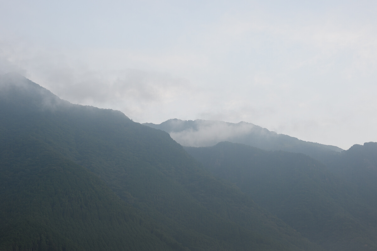 f:id:hachi-log:20200829201256j:plain f:id:hachi-log:20200829201256j:plain