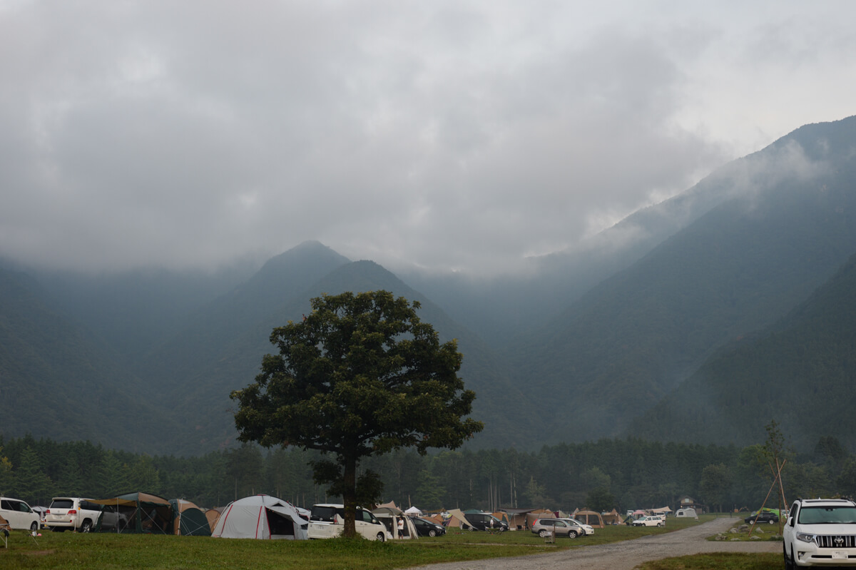 f:id:hachi-log:20200829201302j:plain f:id:hachi-log:20200829201302j:plain