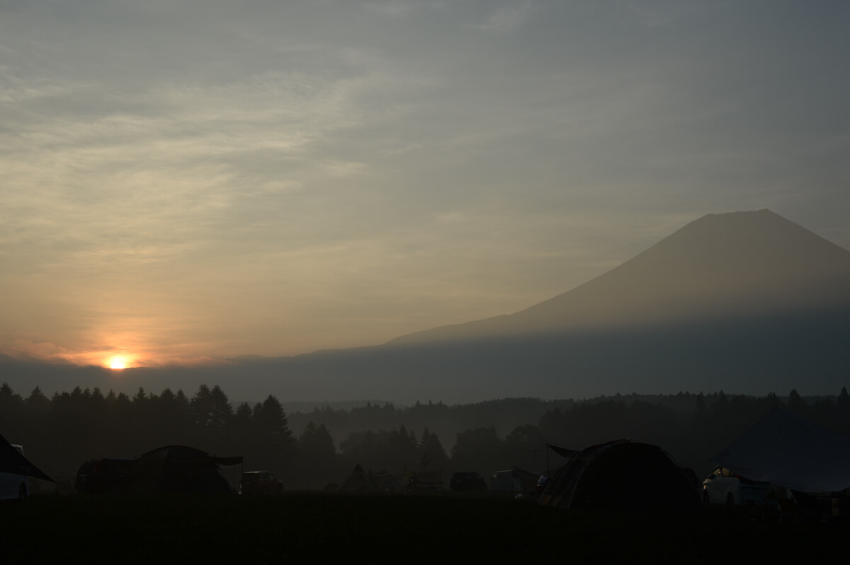 f:id:hachi-log:20200829201317j:plain f:id:hachi-log:20200829201317j:plain