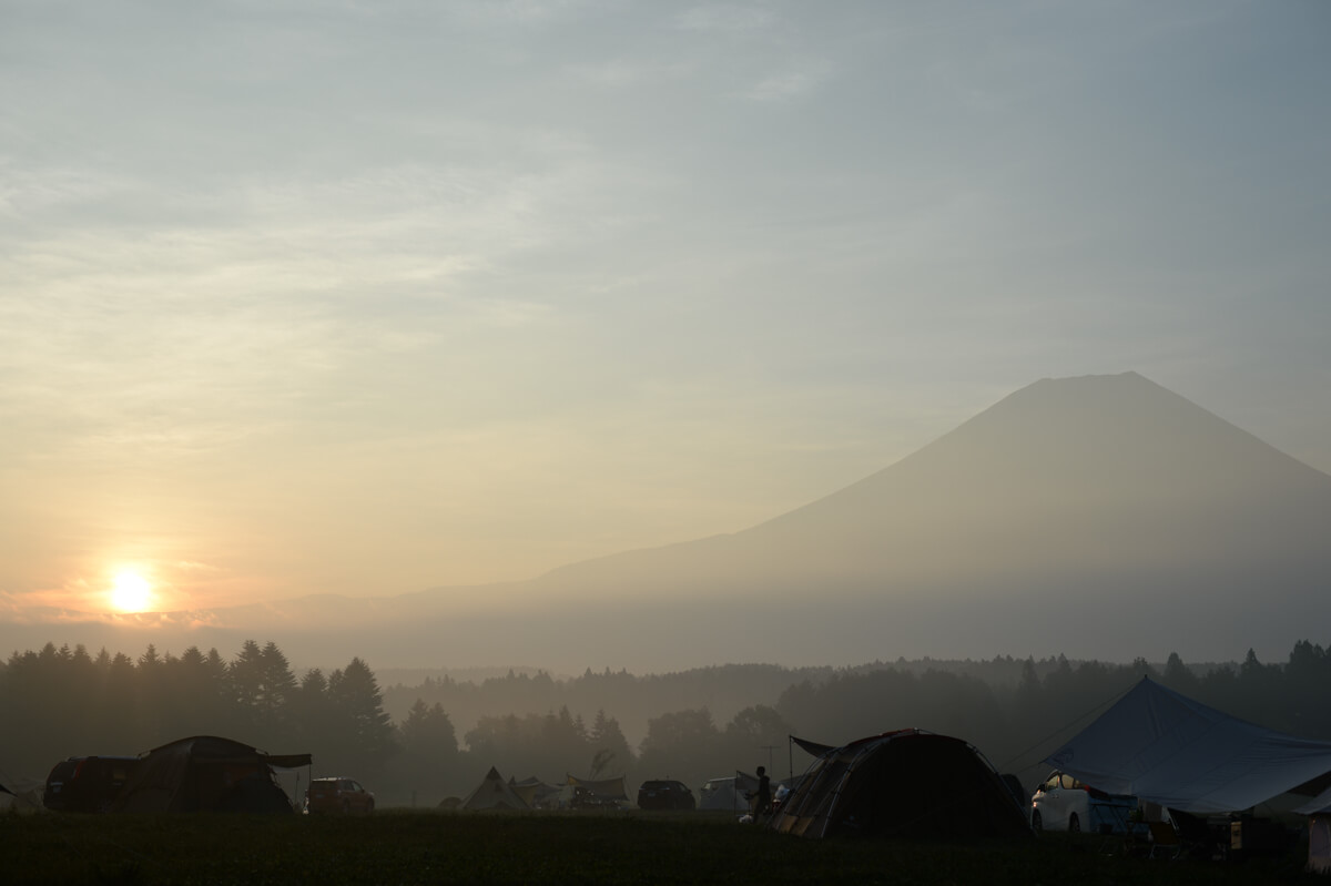 f:id:hachi-log:20200829201320j:plain f:id:hachi-log:20200829201320j:plain