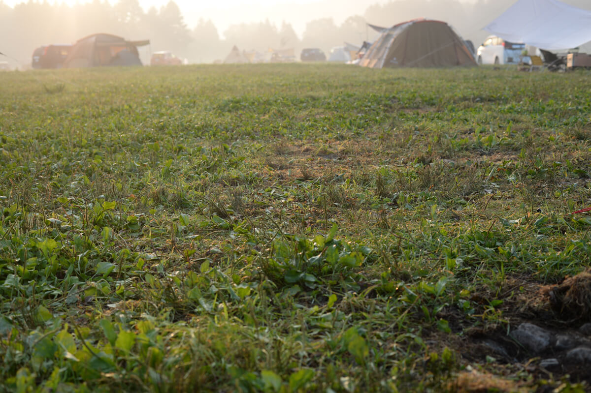 f:id:hachi-log:20200829201328j:plain f:id:hachi-log:20200829201328j:plain