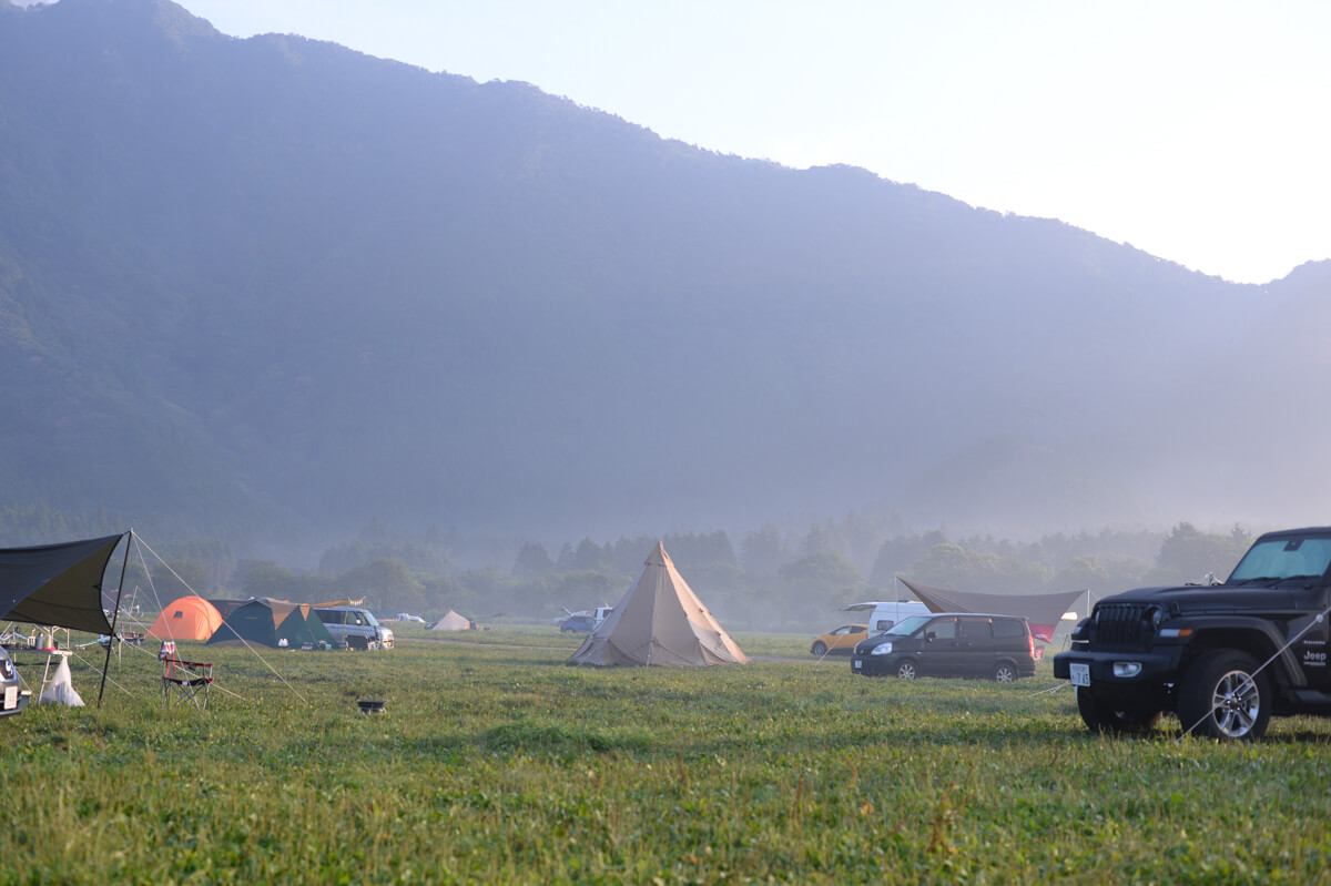 f:id:hachi-log:20200829201336j:plain f:id:hachi-log:20200829201336j:plain