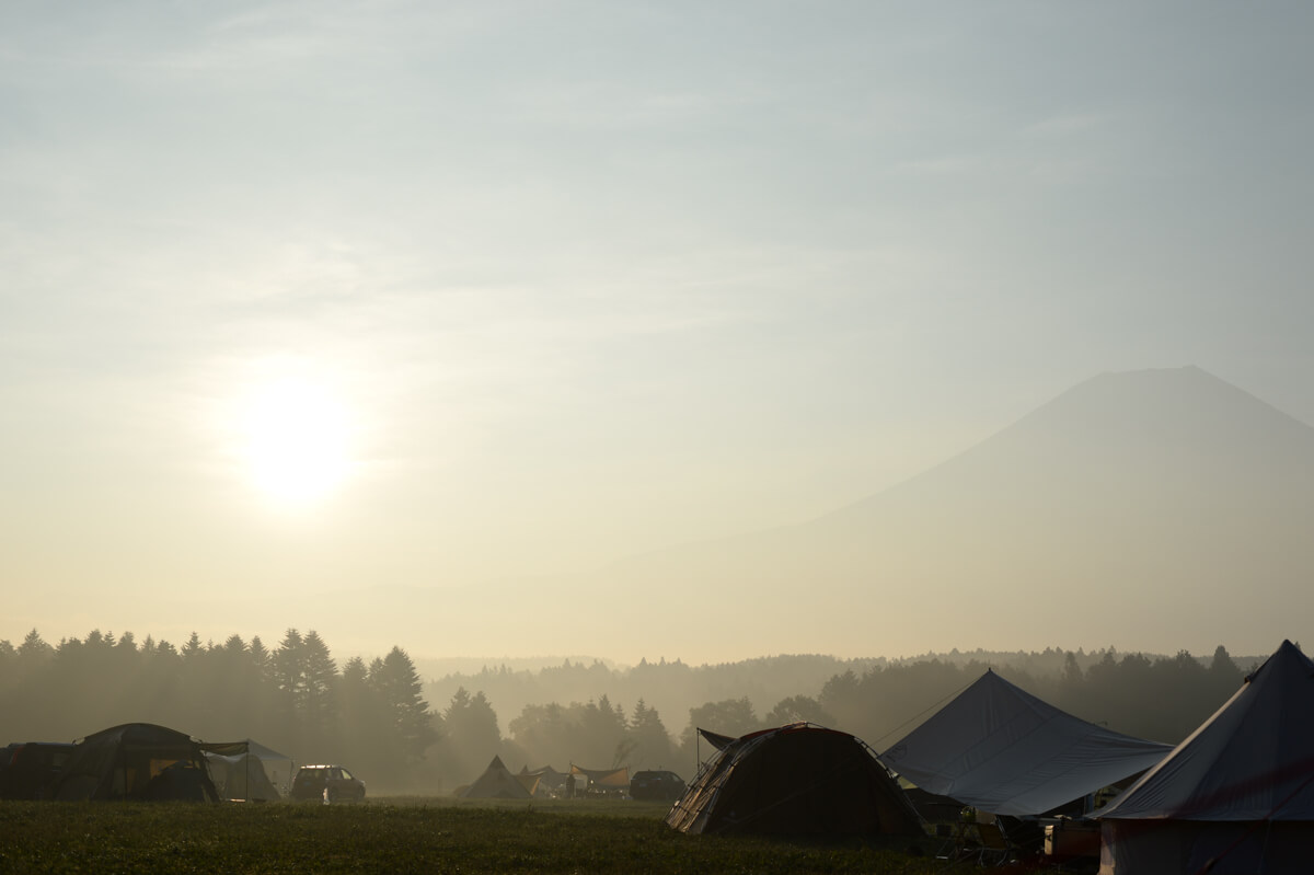 f:id:hachi-log:20200829201339j:plain f:id:hachi-log:20200829201339j:plain