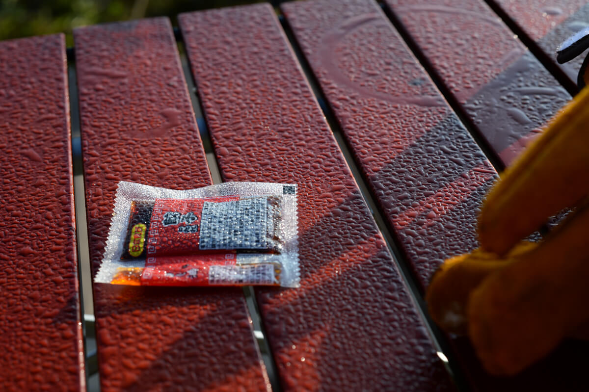 f:id:hachi-log:20200829201353j:plain f:id:hachi-log:20200829201353j:plain