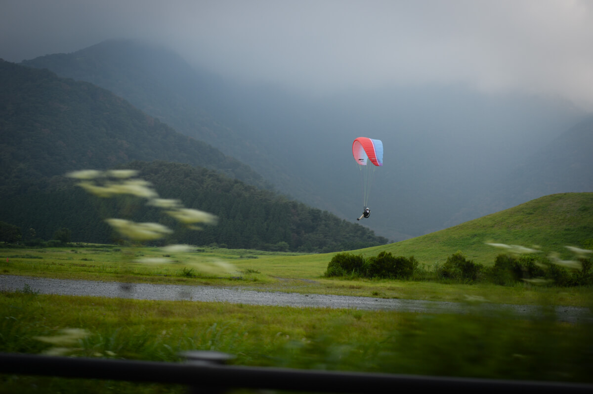 f:id:hachi-log:20200829201509j:plain f:id:hachi-log:20200829201509j:plain