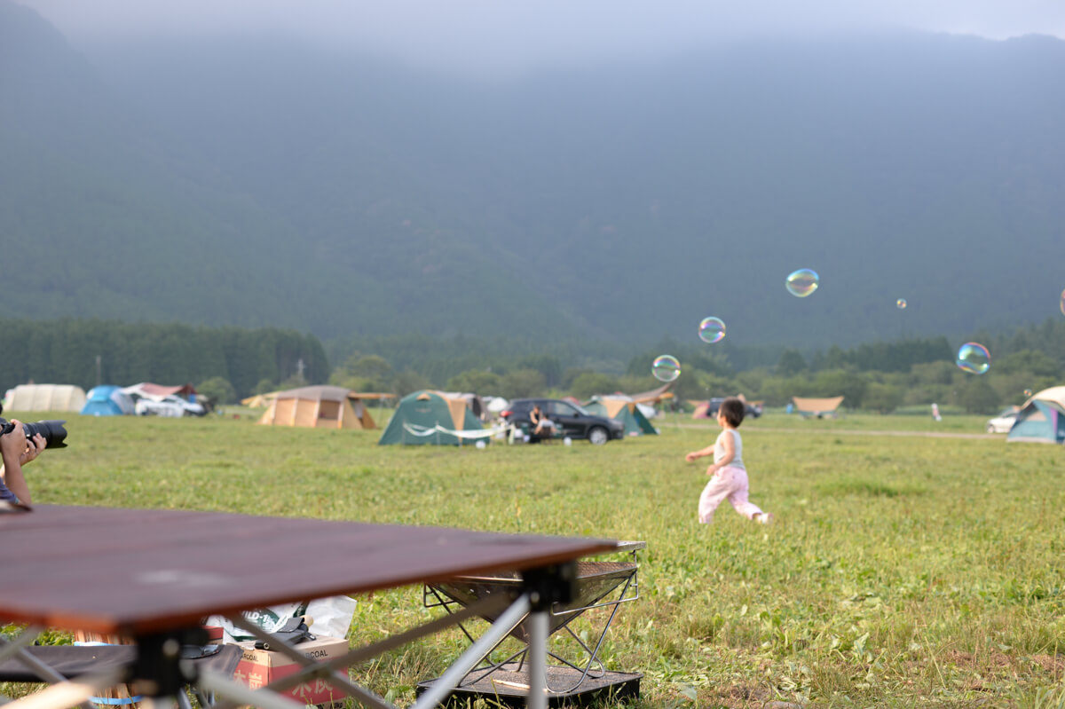 f:id:hachi-log:20200829201512j:plain f:id:hachi-log:20200829201512j:plain