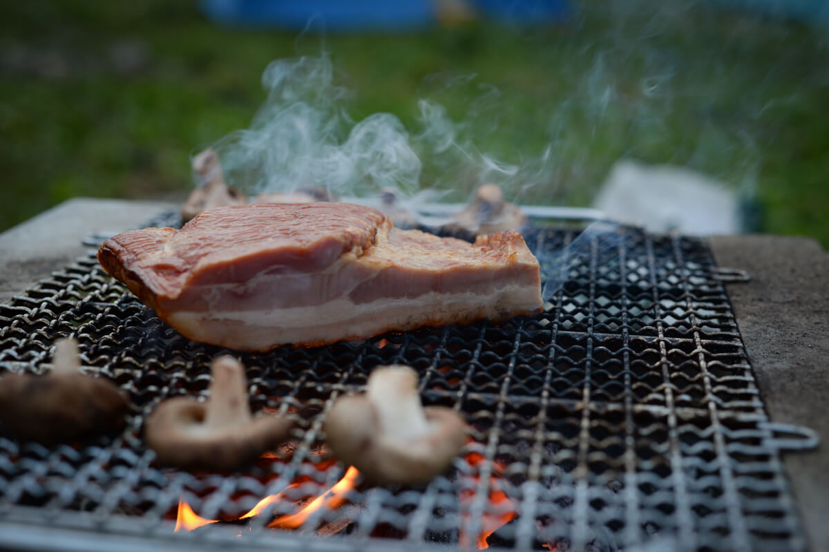 f:id:hachi-log:20200829201522j:plain f:id:hachi-log:20200829201522j:plain