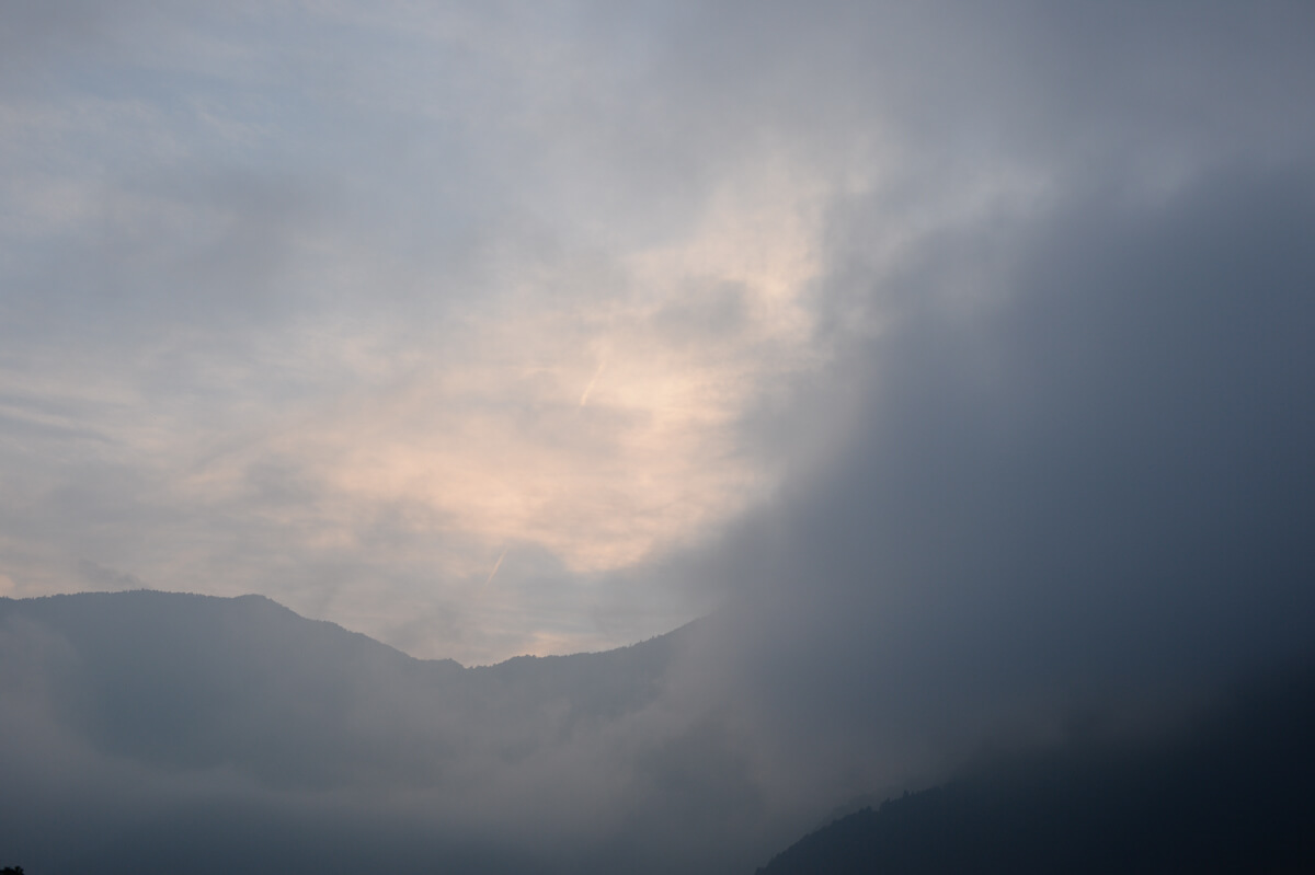 f:id:hachi-log:20200829201531j:plain f:id:hachi-log:20200829201531j:plain