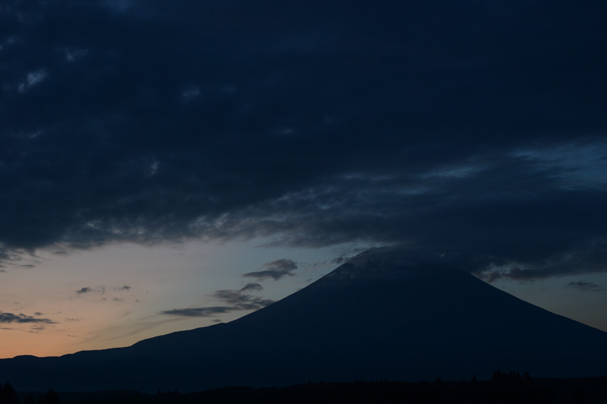 f:id:hachi-log:20200829201610j:plain f:id:hachi-log:20200829201610j:plain