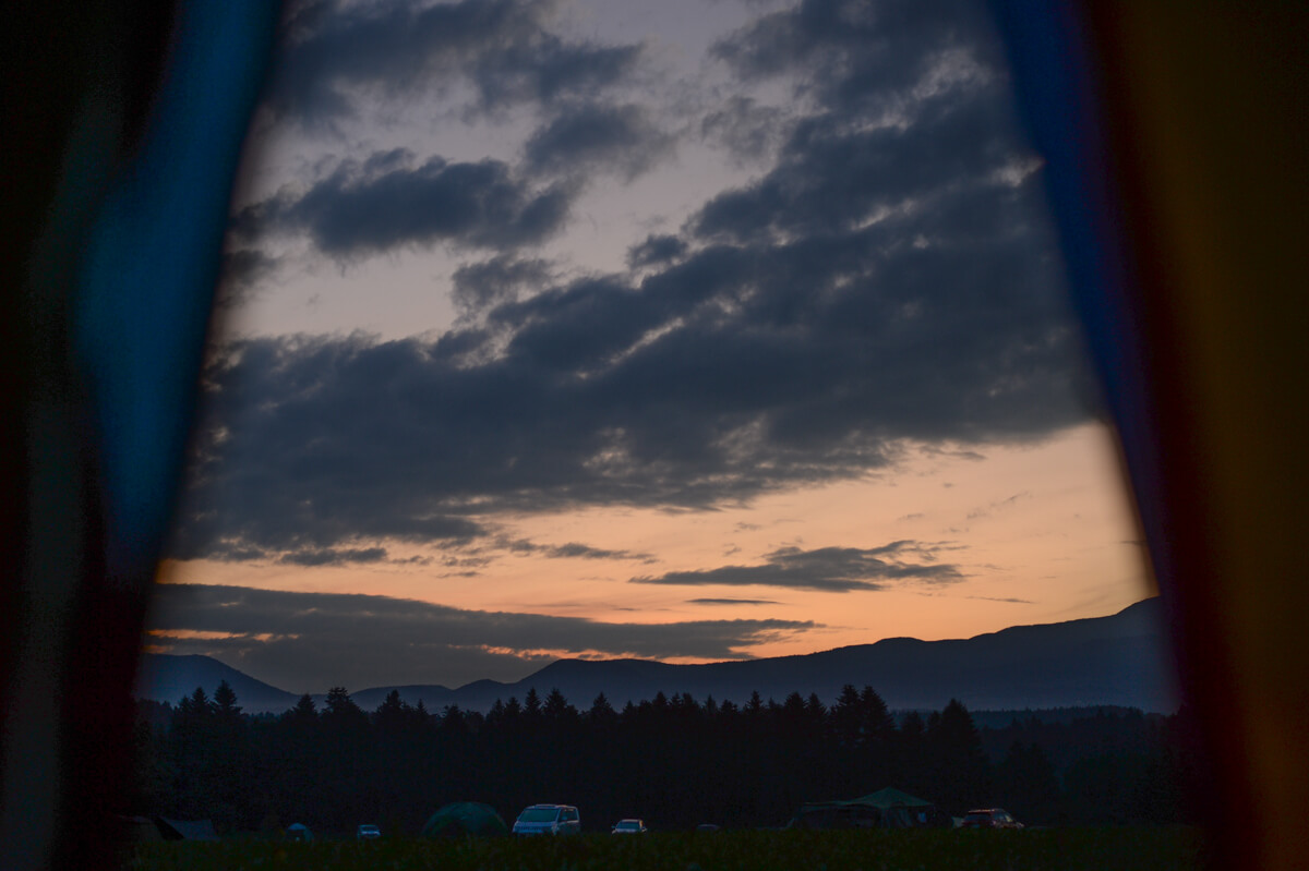 f:id:hachi-log:20200829201613j:plain f:id:hachi-log:20200829201613j:plain