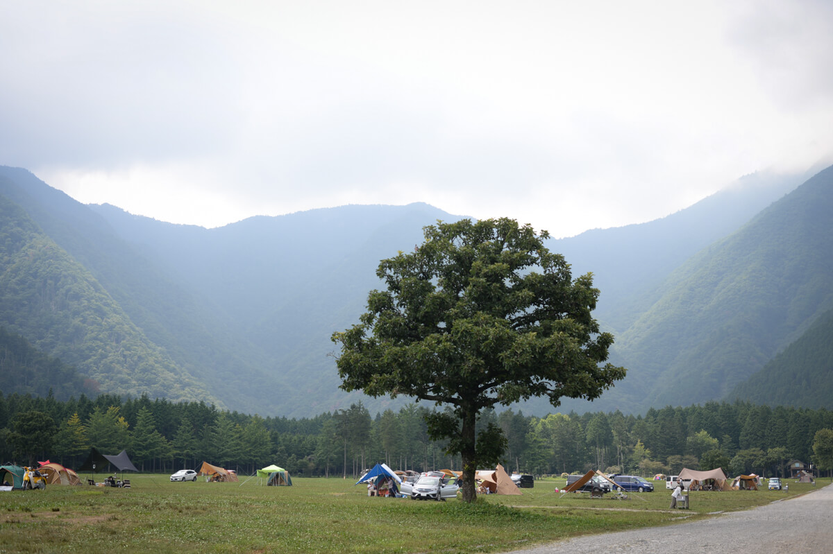 f:id:hachi-log:20200829201625j:plain f:id:hachi-log:20200829201625j:plain