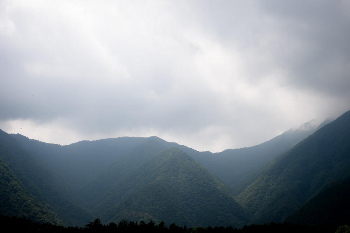 f:id:hachi-log:20200829201628j:plain f:id:hachi-log:20200829201628j:plain