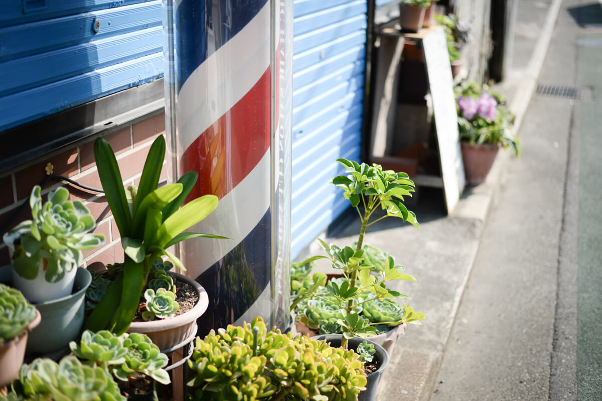 f:id:hachi-log:20200831083454j:plain